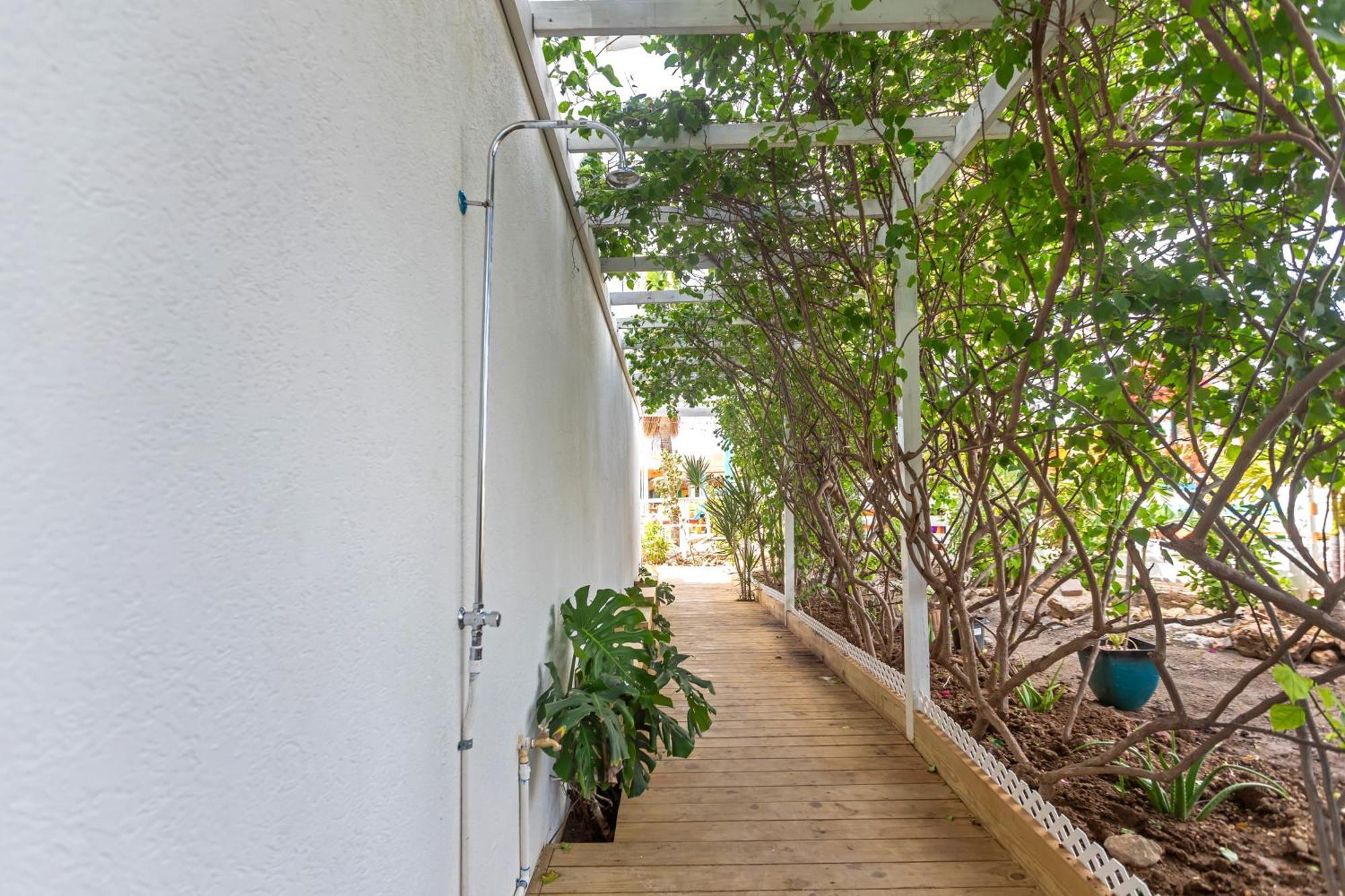 Maho Beach House - Studio - Beach Access Eksteriør billede